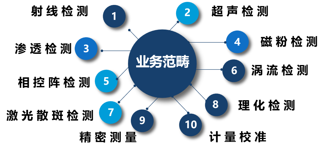 服务项目(图1
			)